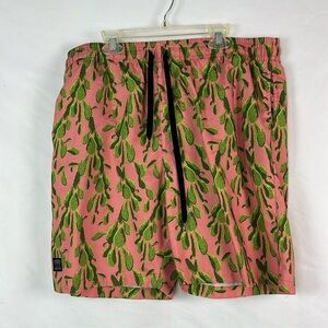 Brooklyn volley pink and green cactus swim shorts large